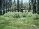 Meadow at Mt High