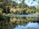 Jackson Lake in the Fall - Wrightwood CA Photos