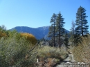 Looking toward Mt Baden Powell from Cabin Flat Campground in the fall - Wrightwood CA Photos