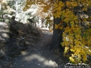 Blue Ridge Trail in the fall - Wrightwood CA Photos