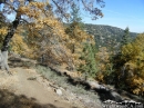 Trees changing colors in the fall - Wrightwood CA Photos