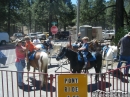 Pony Rides at Mountaineer Days 2011 - Wrightwood CA Photos