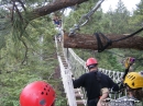 Big Pines Zipline Tours - Wrightwood CA Photos