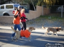 Frightwood Run 2011 (5k at 6k) - Wrightwood CA Photos