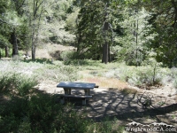 Picnic Table in Arch Picnic Area - Wrightwood CA Mountains