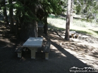 Picnic Table under a shady tree in Arch Picnic Area - Wrightwood CA Mountains