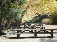 Picnic Tables in the Jackson Lake Picnic Area - Wrightwood CA Mountains