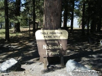Table Mountain Picnic Area - Wrightwood CA Mountains