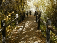 Bridge to Mescal Picnic Area from parking lot - Wrightwood CA Mountains