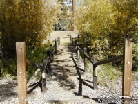 Walkway to Mescal Picnic Area - Wrightwood CA Mountains